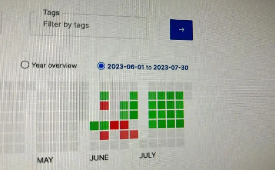 Ghanshyam Yadav Profit and Loss Statement